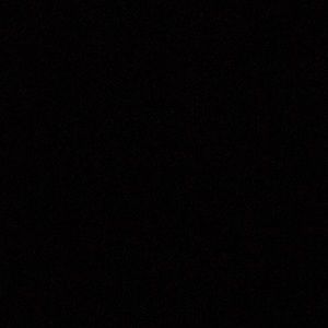 Meet your Posher, Rocco